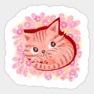 Pink kitten in a field of flowers Sticker